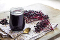 Fresh Elderberry Cuttings - 5 Cuttings - Black Berries - Sambucus nigra for Home Gardening