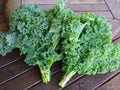 Kale Seeds - 15 Pack - Non-GMO Vegetable Seeds - Brassica oleracea - Free USA Shipping