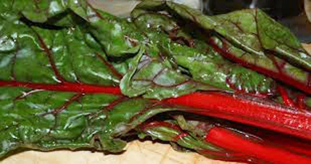 Heirloom Rhubarb Seed Pack, Non-GMO, 1000 Seeds, Swiss Chard Variety, Organic Gardening, Planting Seeds