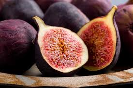 Violette de Bordeaux Fig Cuttings, Ficus carica 'Negronne', Two Crops, USDA Zones 7-10, Propagation Ready