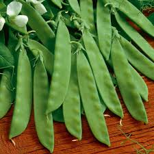 100 Sugar Daddy Snow Pea Seeds | Stringless Edible Pods | Grow Crisp Sweet Peas in Garden Beds, Raised Beds, or Containers